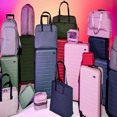 سید محمد  حسینی