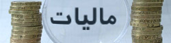 آغاز طرح جامع مالیاتی از اواخر امسال در 3 استان