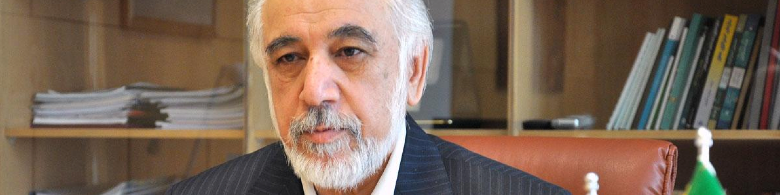 قیمت ۸.۵ سنتی خوراک گاز پتروشیمی‌ها تنها حدس و گمان است