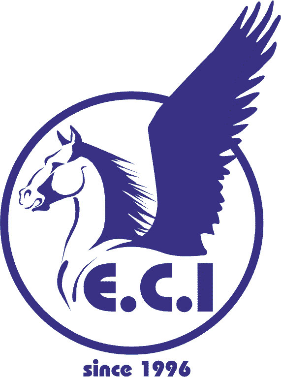 اتیکت کامپیوتر ایران