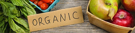 توسعه محصولات ارگانیک دغدغه کشاورزان