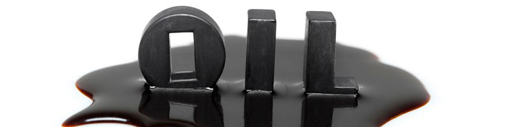 وزیر انرژی عربستان: به موفقیت ‌نشست آینده اوپک در وین خوش بین هستم