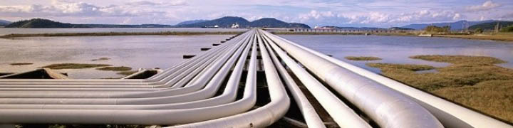 جزییات انحلال شرکت ملی صادرات گاز تشریح شد