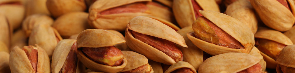 پیش‌بینی‌ای تازه از وضعیت تولید و صادرات پسته ایران و آمریکا