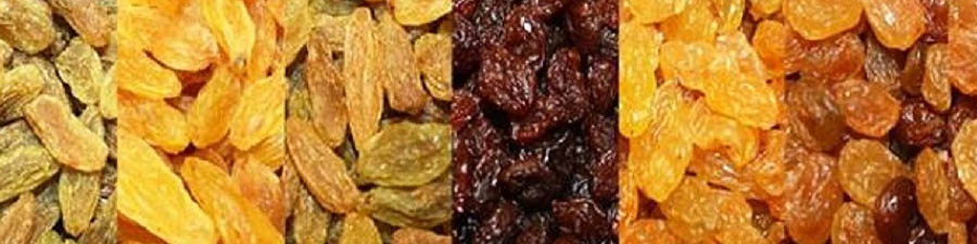 مصائب کشمش کاشمر/ ترکیه و آمریکا جایگاه صادراتی ایران را به خطر انداخته‌اند