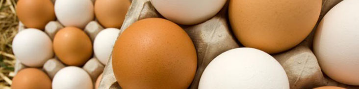 قیمت تخم‌مرغ در بازار افزایش یافت