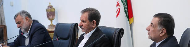 تدوین برنامه‌ای برای مقابله با آنفلوآنزای پرندگان ضروری است
