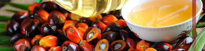 کاهش 300 هزار تنی واردات روغن پالم
