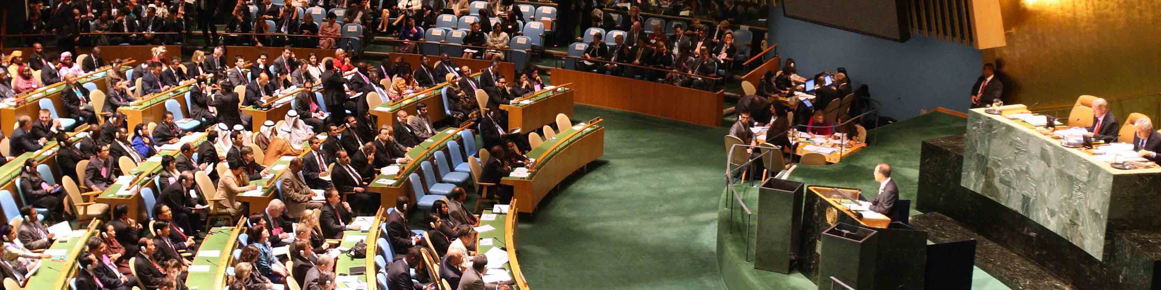 هشدار سازمان ملل متحد برای بیماری آنفلوآنزای پرندگان قابل انتقال به انسان
