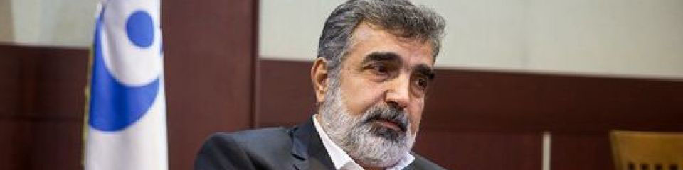 ترامپ شجاعت خروج از برجام را ندارد/ در کمتر از 48 ساعت می‌توانیم به غنی‌سازی 20 درصد برگردیم