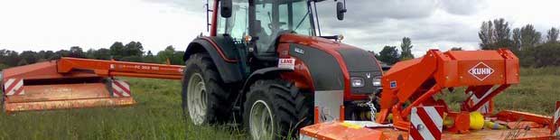 تامین ارز دولتی برای واردات محصولات کشاورزی