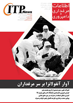 ماهنامه اطلاعات مرغداری و دامپروری (شماره 62)