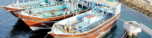 چینی ها در ساحل دریای جاسک ماهی‌ها را غارت می‌کنند