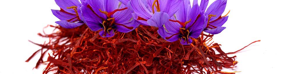 اصفهان نیازمند توسعه صنایع جانبی و فرآوری محصول زعفران است