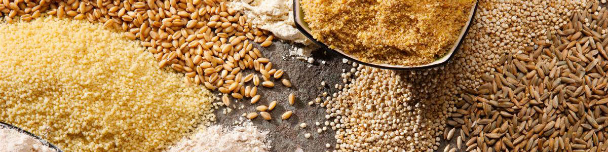 پیش بینی OECD و FAO از وضعیت بخش غلات ایران/ تولید غلات ۲.۴ درصد رشد می‌کند/ راندمان گندم رشد ۲.۷ درصدی دارد