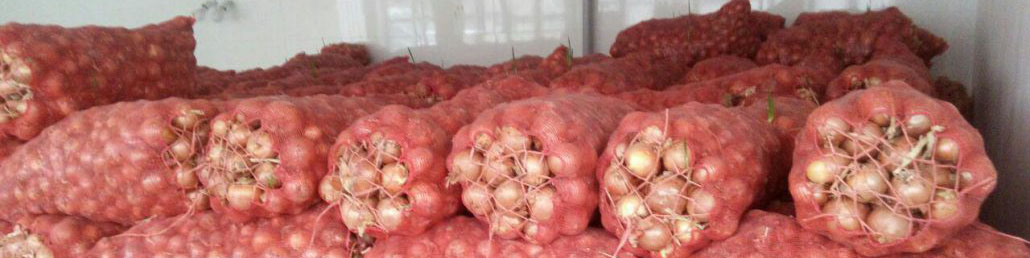 عوارض صادراتی پیاز برداشته شد