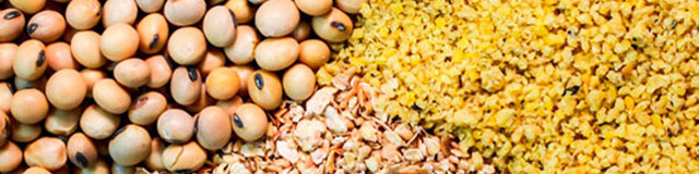 واردات نهاده‌های دامی ١٥ درصد کاهش یافت