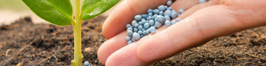 افزایش چند برابری قیمت کود لطمه جدی به تولید می‌زند