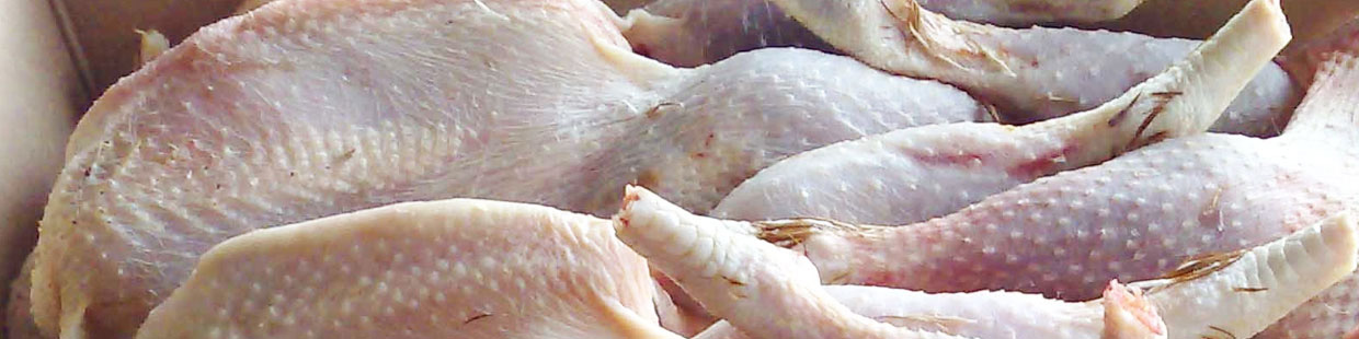 افزایش عرضه مرغ با قیمت مصوبه / متوسط قیمت آزاد مرغ در بازار به ۲۸ هزار تومان رسید