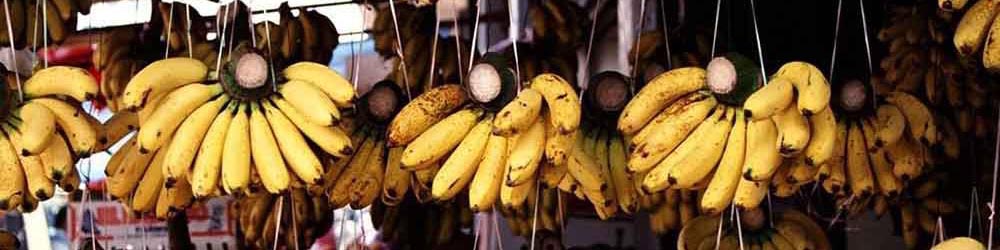 واردات موز بلاتکلیف بین گمرک و وزارت صمت و جهاد کشاورزی