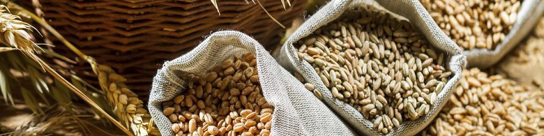 هجمه سیاسی به تجارت خارجی کشور/ ادعای آلوده بودن گندم وارداتی به نفع چه کسانی است؟