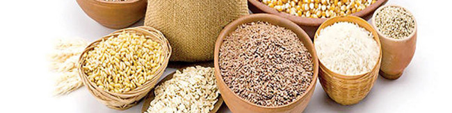 هشدار درباره اتخاذ سیاست‌های نادرست در واردات کالاهای اساسی