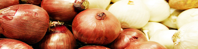 ۱۰۰ هزار تن پیاز به پاکستان صادر می شود/ خبر صادرات قیمت‌ها را بالا می‌برد