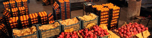 اختلاف ۴۰ درصدی قیمت میوه در میادین نسبت به میانگین قیمت‌های سطح شهر