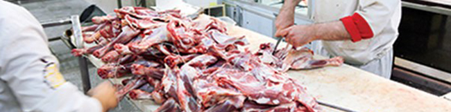 عرضه گوشت گوساله داخلی در میادین