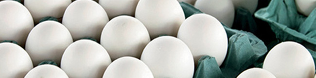 تخم مرغ ۵۰ درصد کمتر از نرخ مصوب عرضه می‌شود