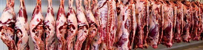 دامپزشکی: گوشت‌های وارداتی بهداشتی و شرعی است