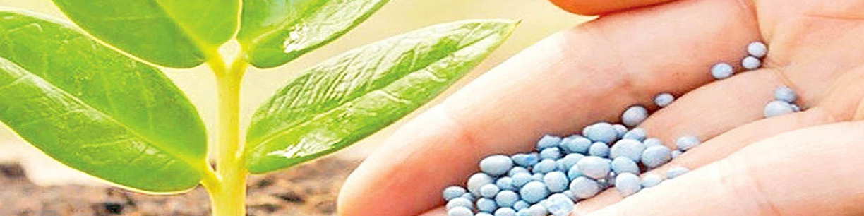 مصرف کودهای یارانه‌ای عاملی موثر در افزایش تولید محصولات اساسی