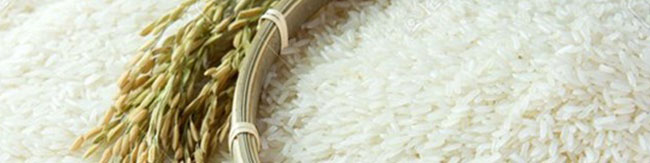 عدم تحقق واردات یک میلیون و ۲۰۰ هرارتن برنج