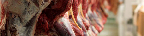 امضای قرارداد با ۸ سردخانه برای نگهداری فرآورده‌های پروتئینی