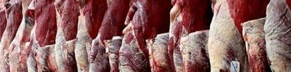 قیمت گوشت گوساله امروز ۱۹ آبان ۱۴۰۳