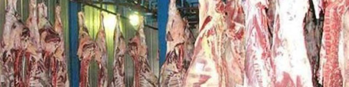 عرضه گوشت تنظیم‌بازار محدود شد