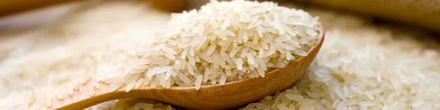 پیش‌بینی ۷۱.۶ میلیارد تومان اعتبار برای اجرای طرح جهش تولید برنج