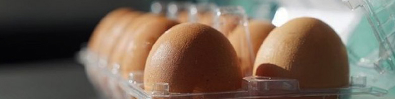 اصلاح قیمت تخم‌مرغ با پیشنهاد حدود ۳۰ درصد افزایش