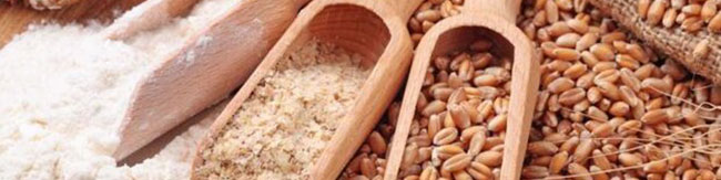جایگزینی نهاده‌های دامی با هدف دستیابی به خوداتکایی
